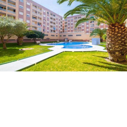 Apartmento Torrevieja 4248