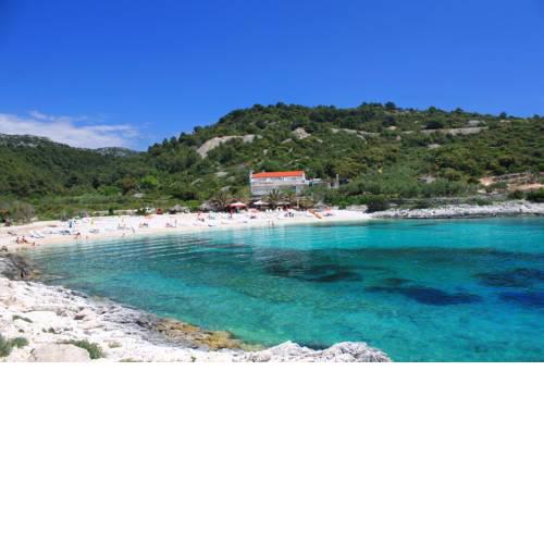 Apartments and rooms by the sea Hvar - 8785