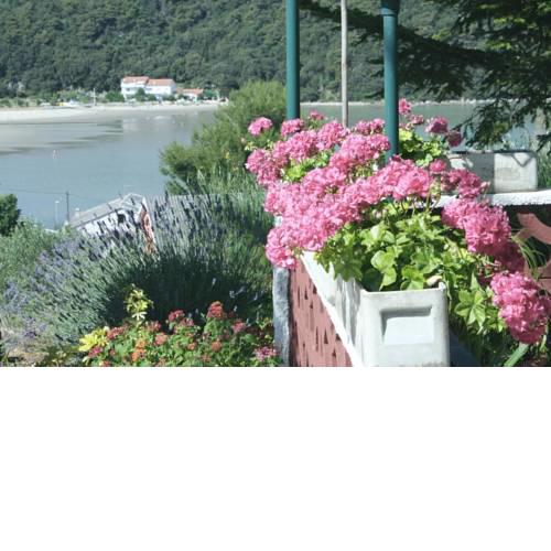 Apartments and rooms with parking space Kampor, Rab - 5064