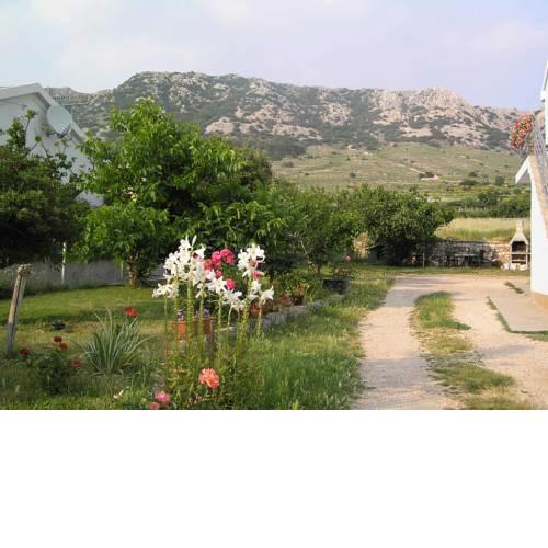 Apartments Bogdi