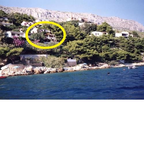 Apartments Branka