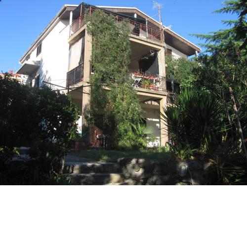 Apartments BRANKO