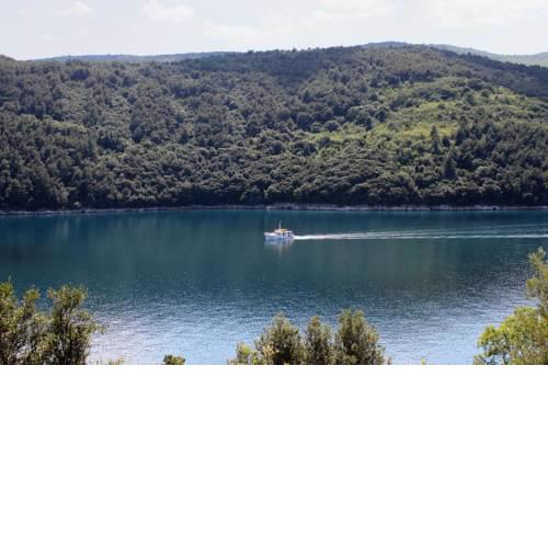 Apartments by the sea Duga Luka (Prtlog) (Labin) - 5535