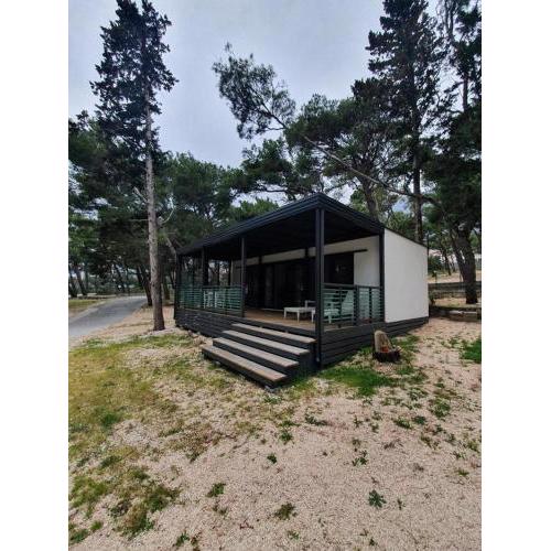 Apartments by the sea Makarska - 19558