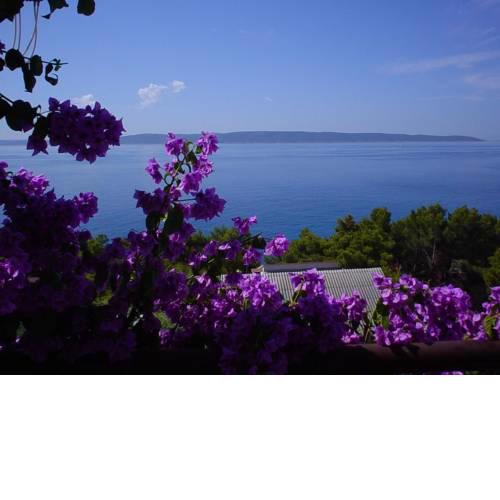 Apartments by the sea Rastici, Ciovo - 11723