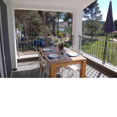 Apartments by the sea Verunic, Dugi otok - 15209