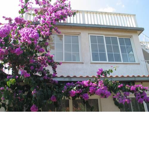 Apartments Cale