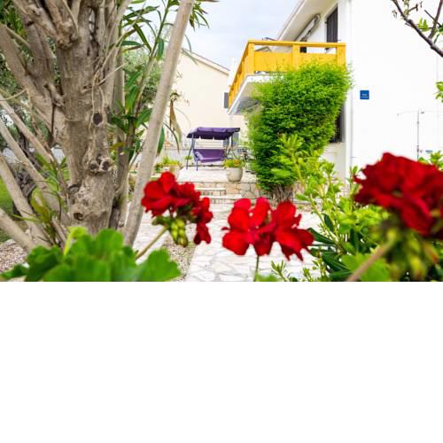 Apartments Crnko