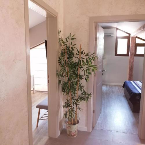 Apartments Dona
