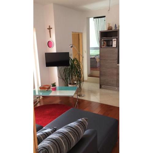 Apartments Dumina