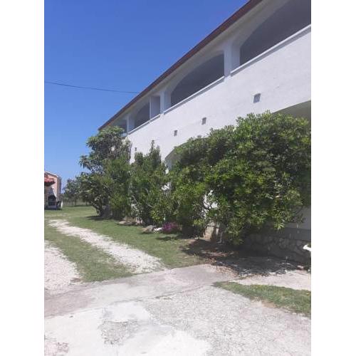 Apartments for families with children Lopar, Rab - 5024