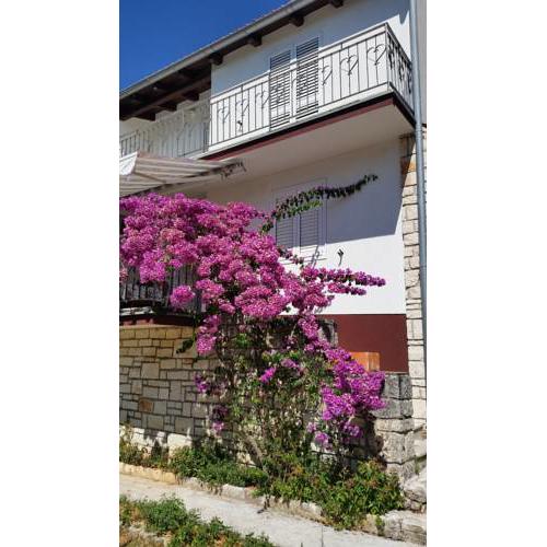 Apartments Francika