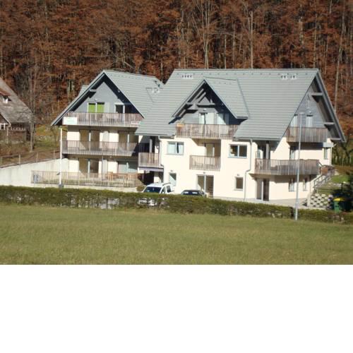 Apartments Holin