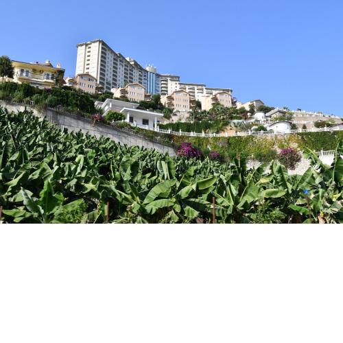 Apartments in Goldcity Tourist Complex