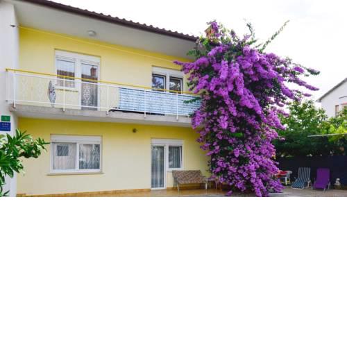 Apartments in Pula/Istrien 11306