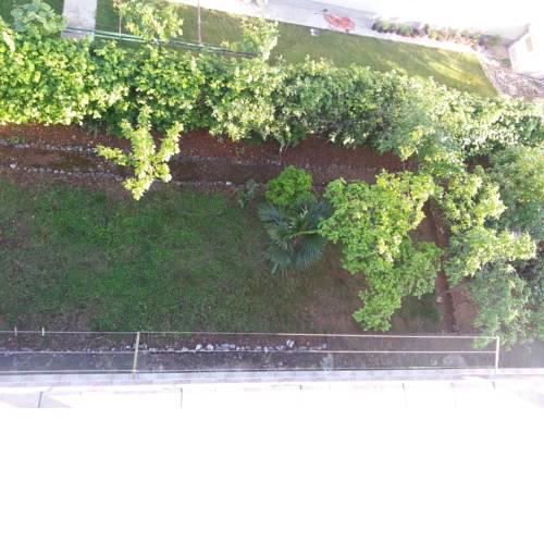 Apartments Kamelija