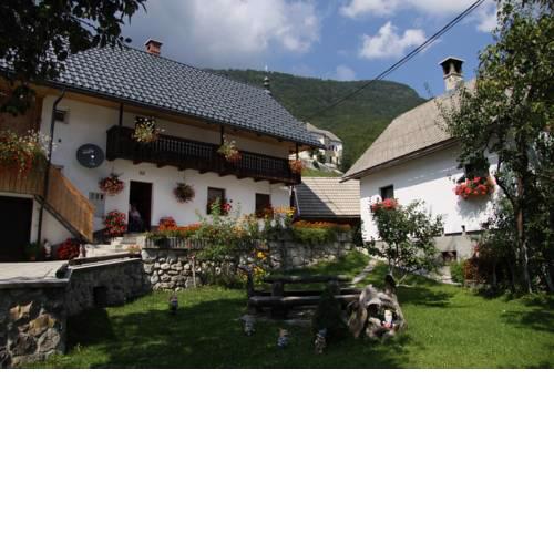 Apartments Kocjanc