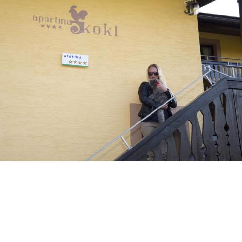 Apartments Kokl