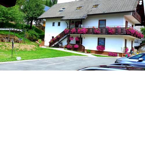 Apartments Lake Bohinj Medja