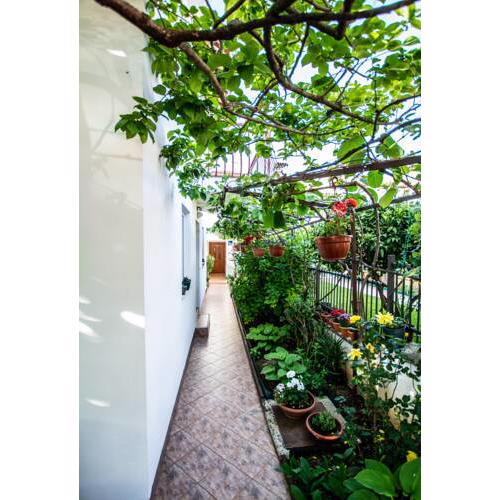 Apartments Lea