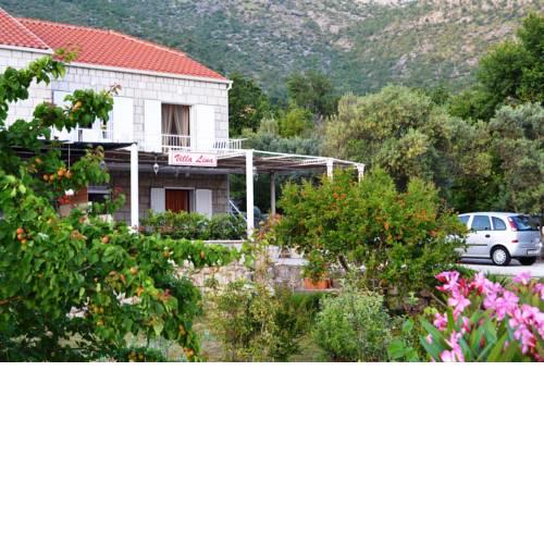 Apartments Lina