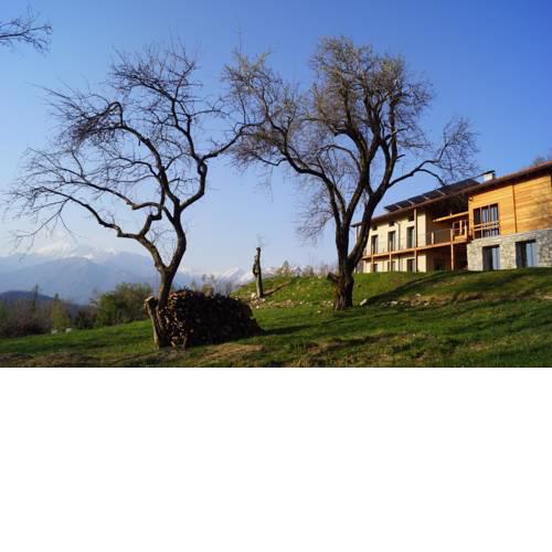 Apartments Lom