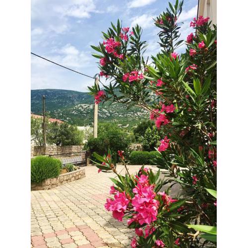Apartments Mirela