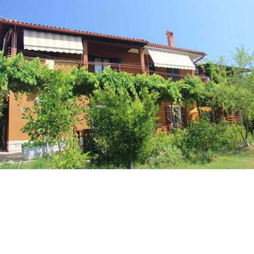 Apartments Mohorcic