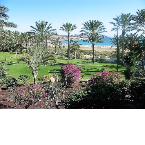 Apartments near the beach, with terrace and WIFI