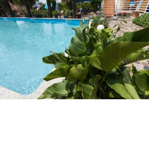 Apartments Paradise