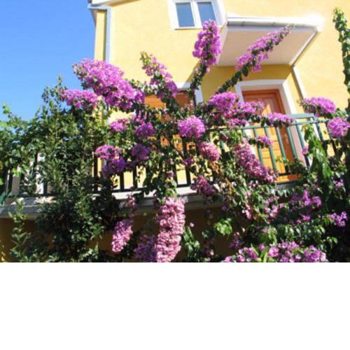 Apartments Podstrana