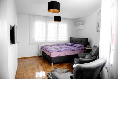 Apartments Repinc 15