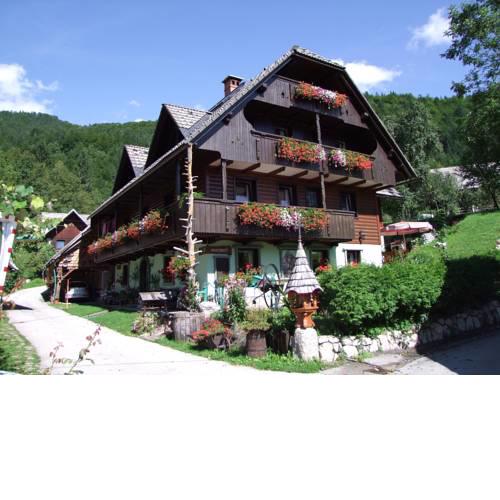 Apartments Sodja