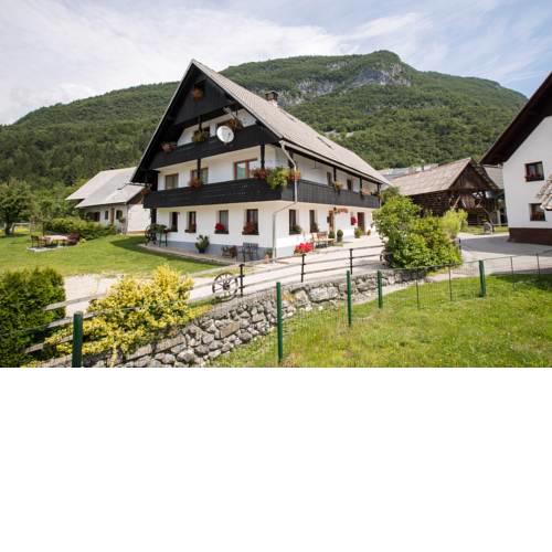 Apartments Tomažin