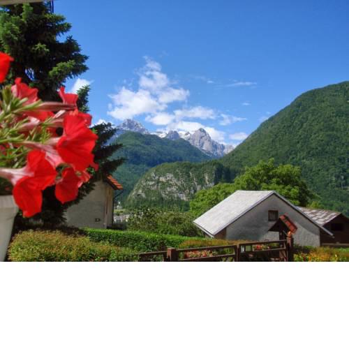 Apartments Triglav