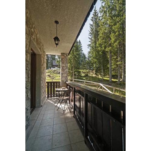 Apartments Villa Vesna Pokljuka
