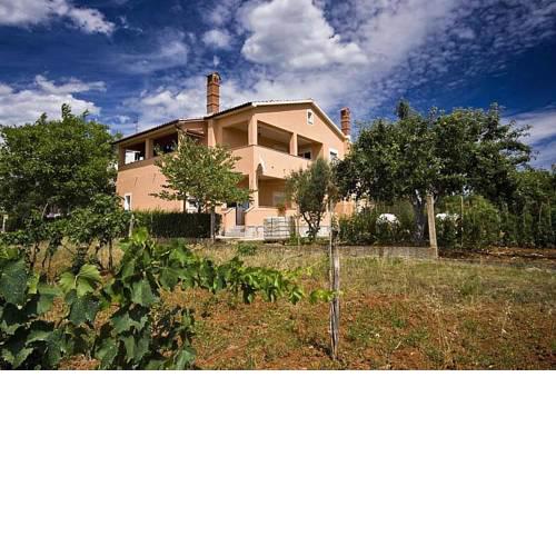 Apartments with a parking space Pula - 7420