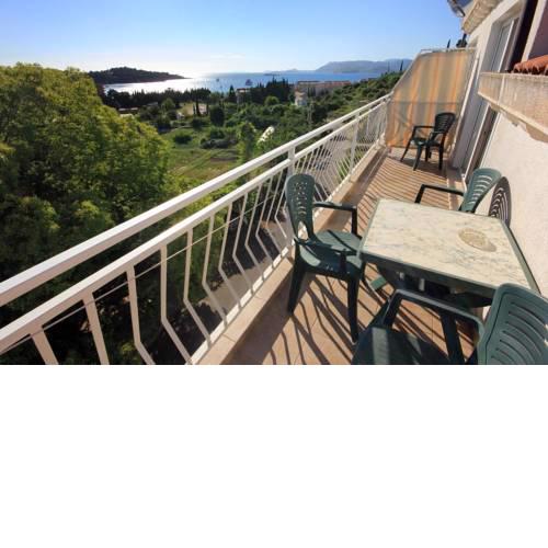 Apartments with a swimming pool Cavtat, Dubrovnik - 8829