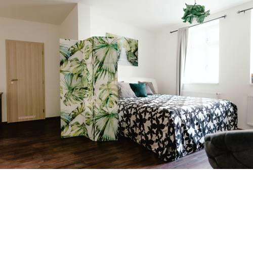 Apartments Zelny Trh I