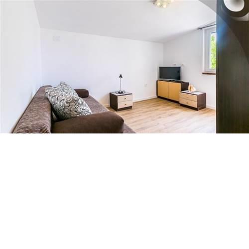 Apartmnet Fig Tree