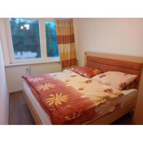 Apartnám Vřídelní