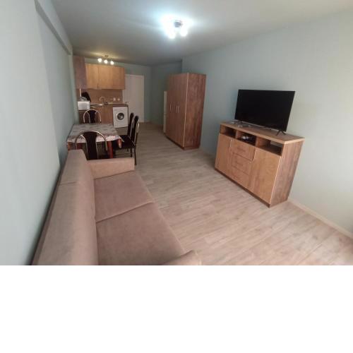 Apartnikolov1