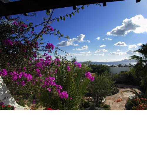 App-Tropican