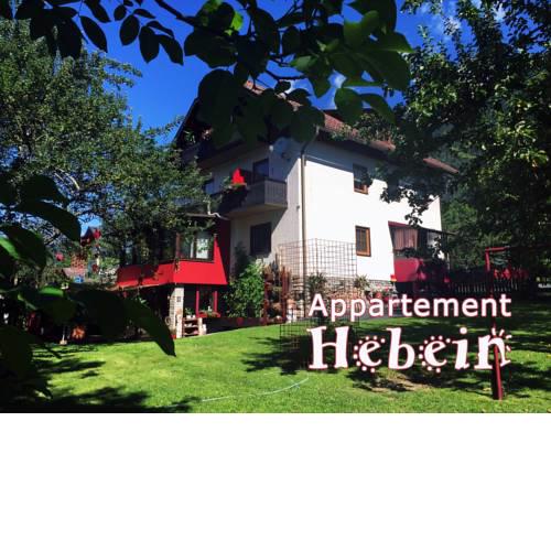 Appartement Hebein 1