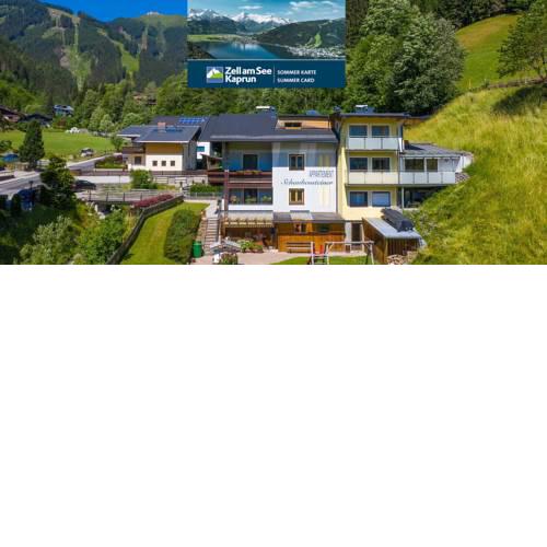 Appartement Schaubensteiner