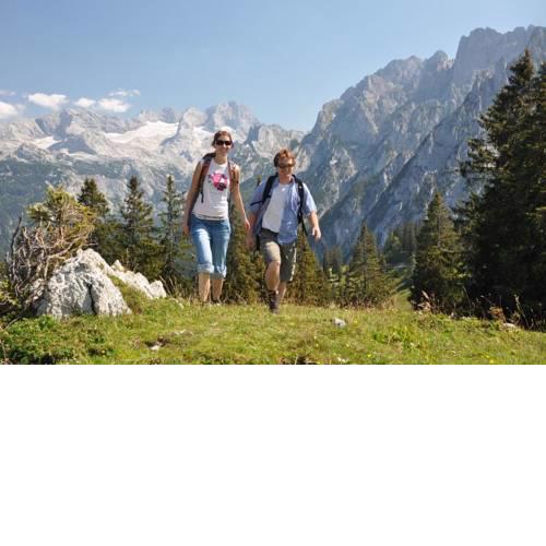 Appartement Stelo Gosau-Hallstatt