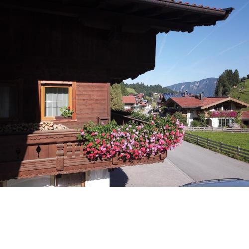 Appartement zum Schatzberg WILD021