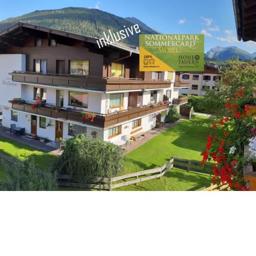 Appartements Alphotel Mittersill