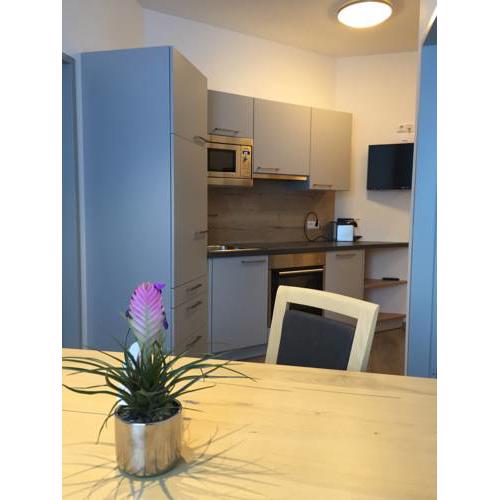 Appartements Insieme