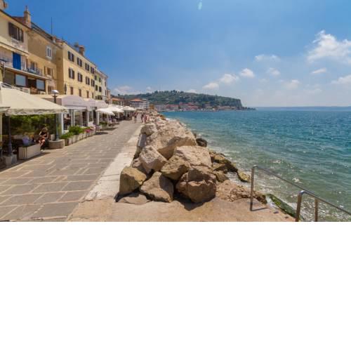 AppleTree Apartment Piran